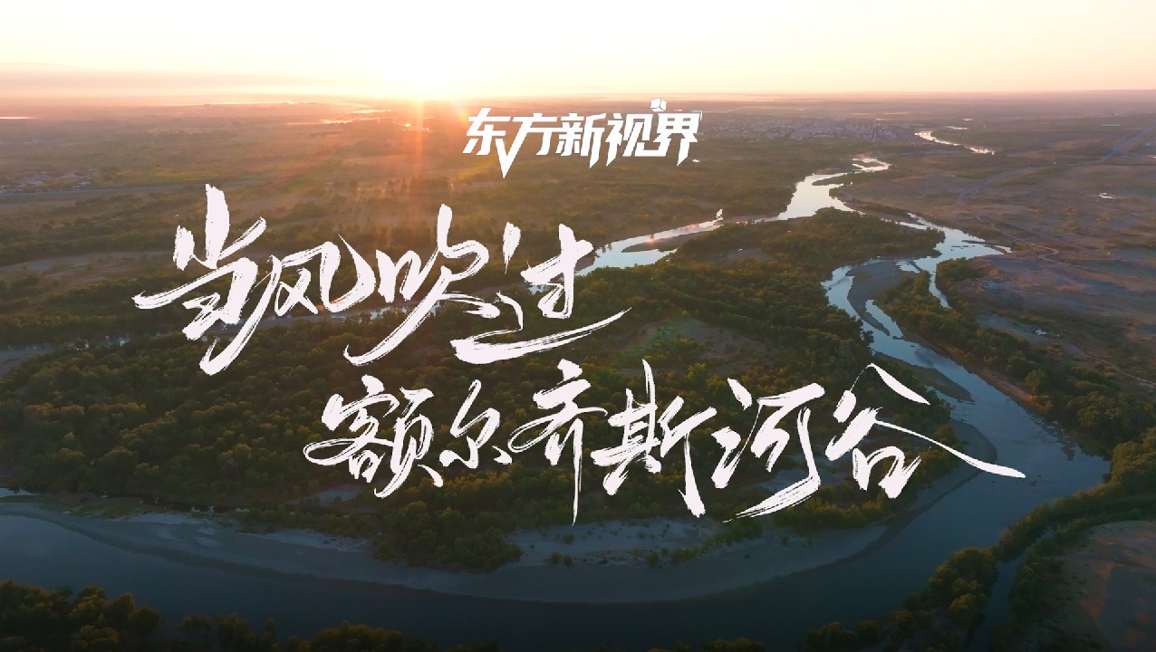 JDB (�й�����) �ٷ���վ