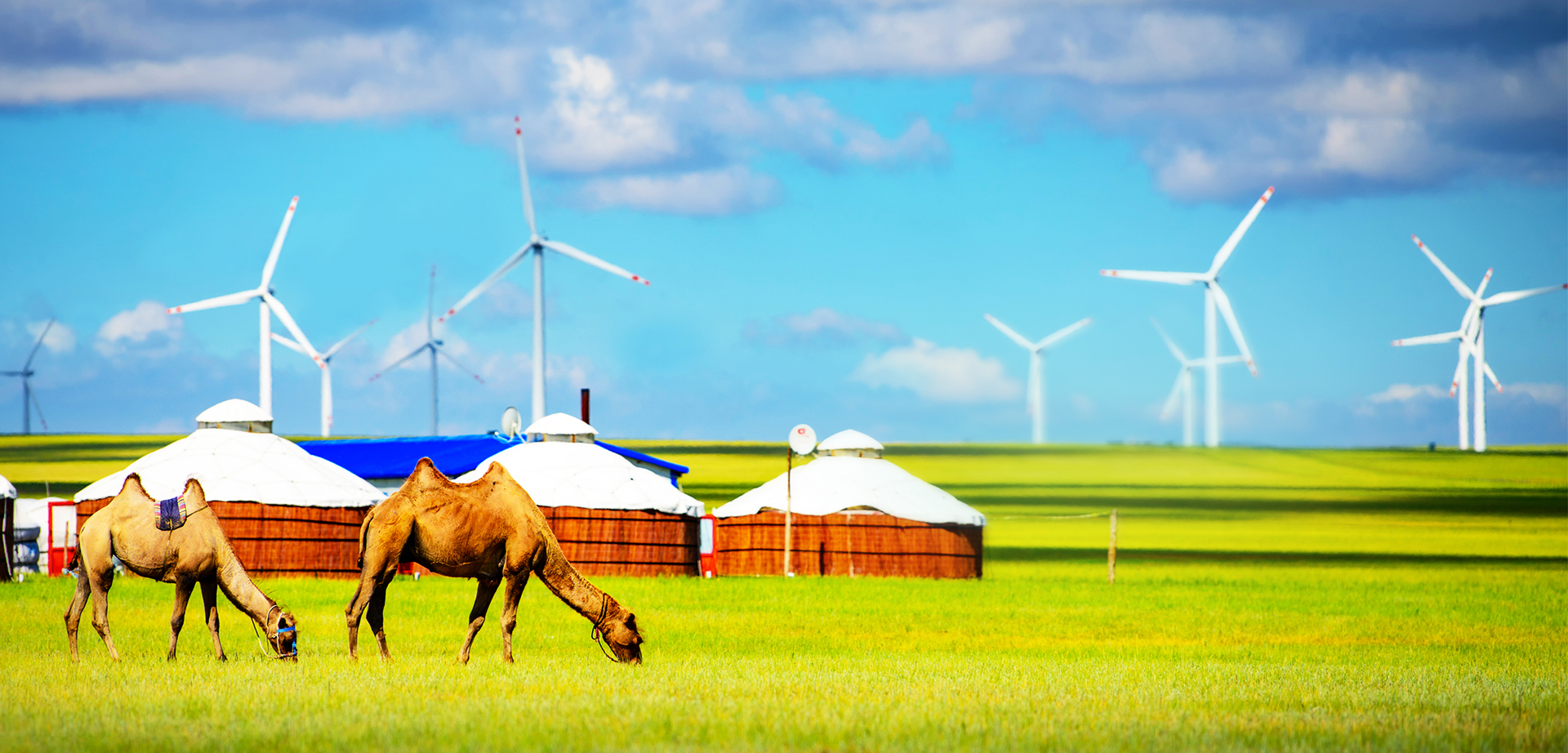 JDB (�й�����) �ٷ���վ