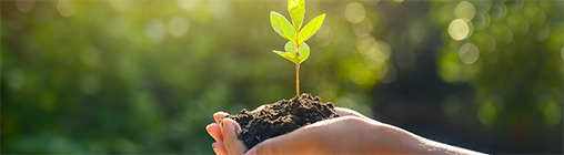 JDB (�й�����) �ٷ���վ